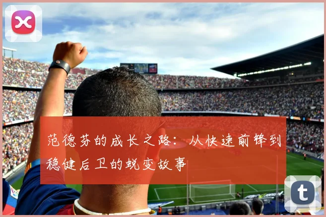 范德芬的成长之路：从快速前锋到稳健后卫的蜕变故事